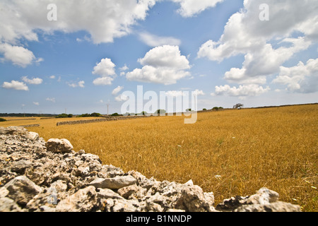 Menorca Landscape near Torre d`en Galmes Minorca Stock Photo